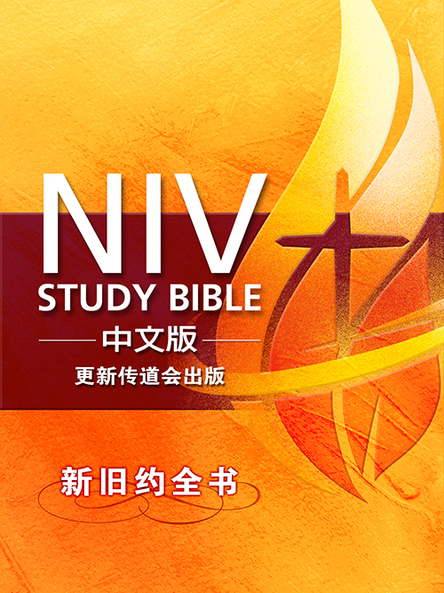 W3e NIV Study Bible 中文版 新旧约全书 (简体) NT$450