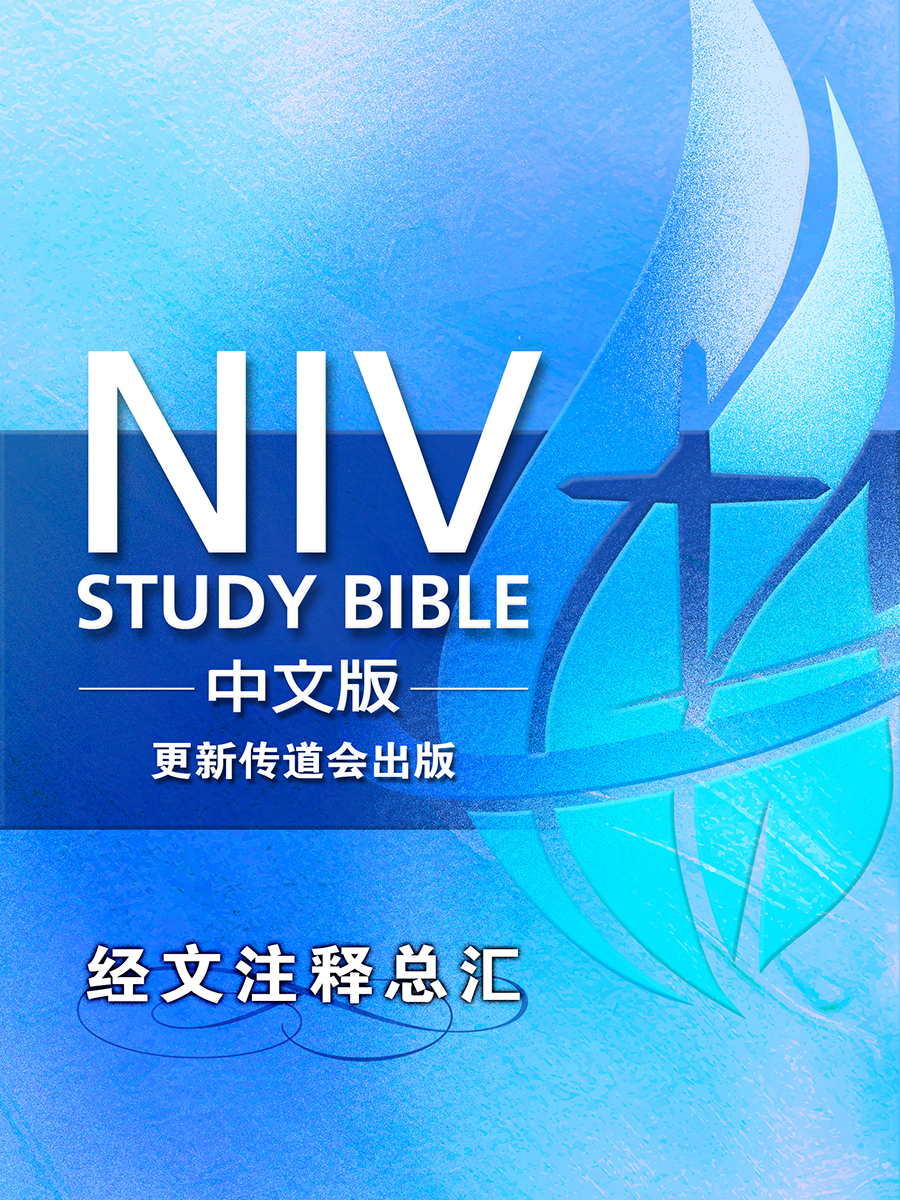 W3-Ce NIV Study Bible 中文版──经文注释总汇(简体版) NT$90